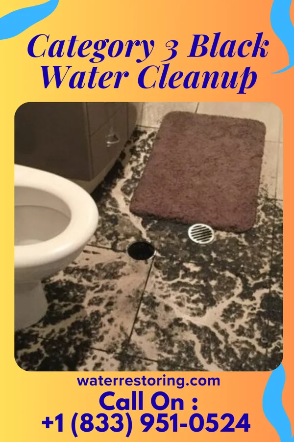 Category 3 Black Water Cleanup in St. Mary, KY
