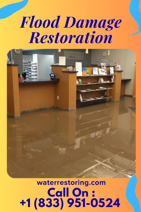 Flood Damage Restoration in St. Mary, KY