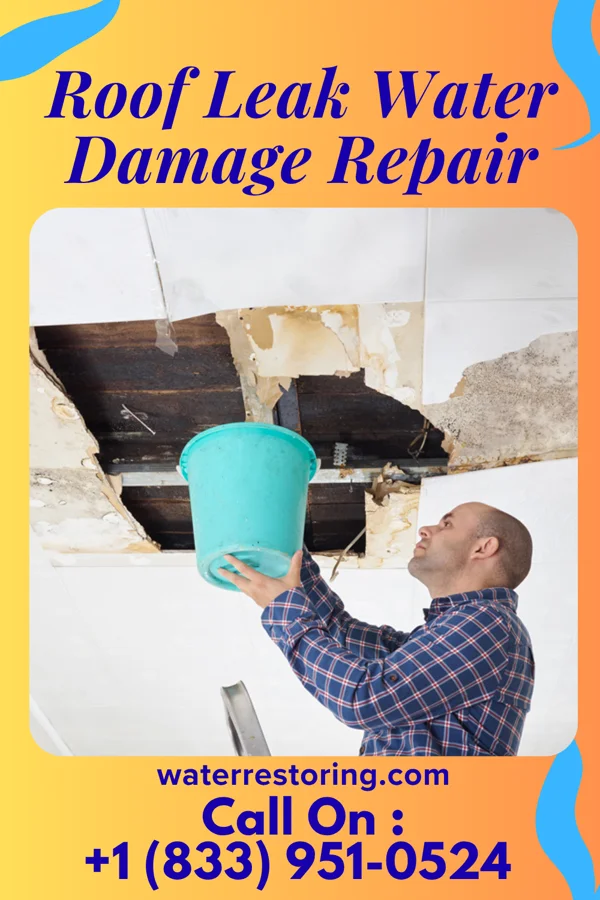 Roof Leak Water Damage Repair in St. Mary, KY