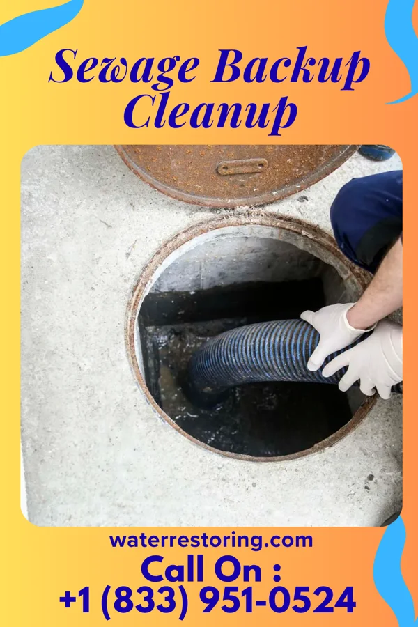Sewage Backup Cleanup in St. Mary, KY