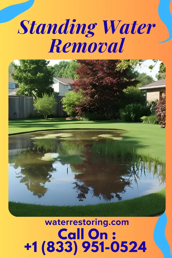 Standing Water Removal in St. Mary, KY